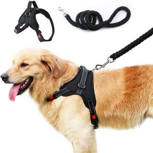 Jasonwell Arnés para Perro Pequeño Mediano Grande Sin Tirones Pechera para Perro con 1.2m Correa y Mango de Control