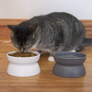 Kitty City – Tazón de comida para gatos elevado, 2 piezas, cada uno tiene capacidad para 6.5 onzas