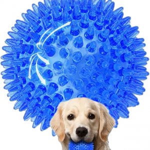 Pelota de juguete | pelota de juguete para mascotas | pelota de juguete para perros | Pelota puntiaguda de juguete，Resistencia a morder, dientes limpios, Adecuado para perros pequeños y cachorros,diámetro 6.5 cm / 2.55 in（Azul, S）